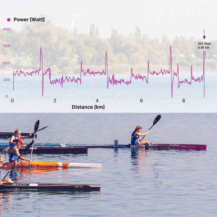 PaddlePulse (NEW!)